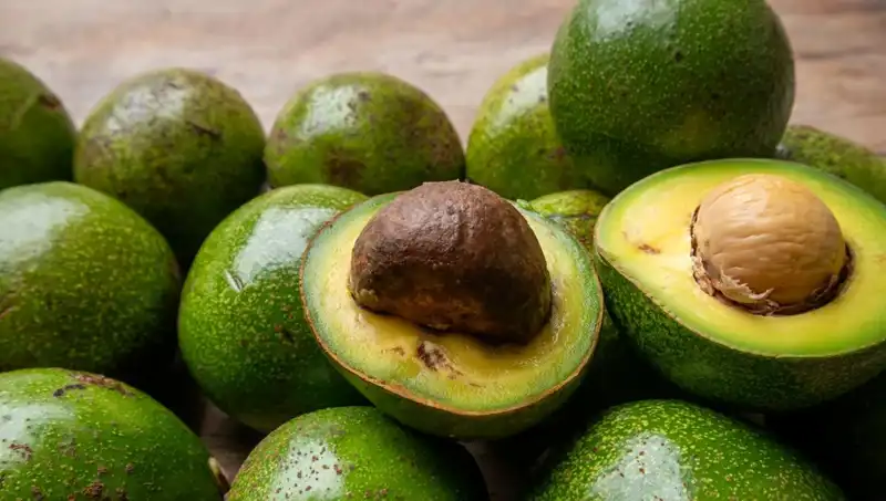Avokado Çekirdeğinin Bilinmeyen Faydaları ve Kullanım Alanları