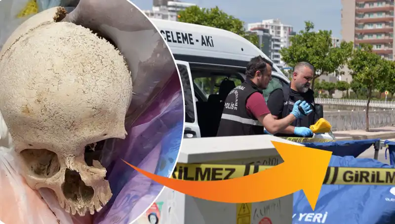 Sitenin Çöpünde Bulunan Kafatası Olayında Şok Gelişmeler Yaşandı