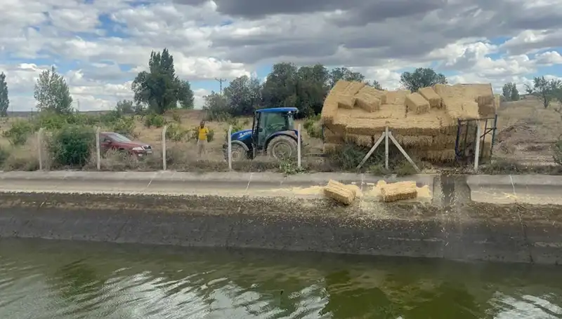 Genç, Saman Yüklü Römorktan Kanala Düşerek Kayboldu: Arama Çalışmaları Devam Ediyor
