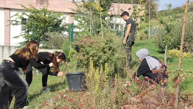 Düzce’nin Yetenekleri Dünyayı Salladı: Hayalden Gerçeğe Giden Yol