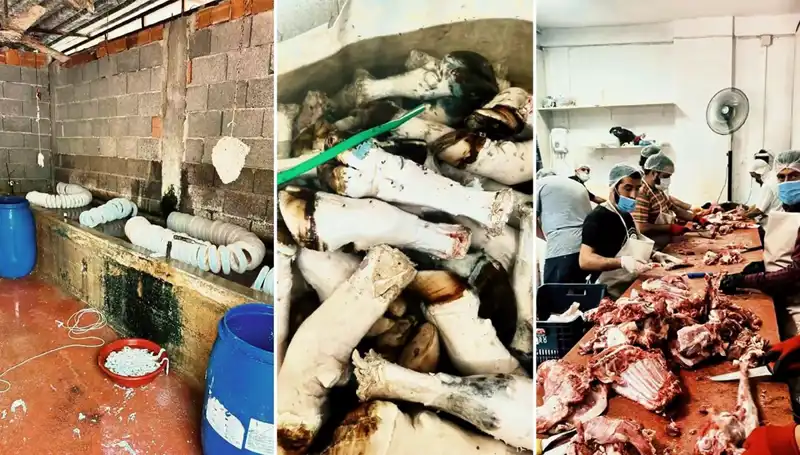 Adana’da Şok! Yüzlerce Kilo Paça, Atık Depolarında Ele Geçirildi
