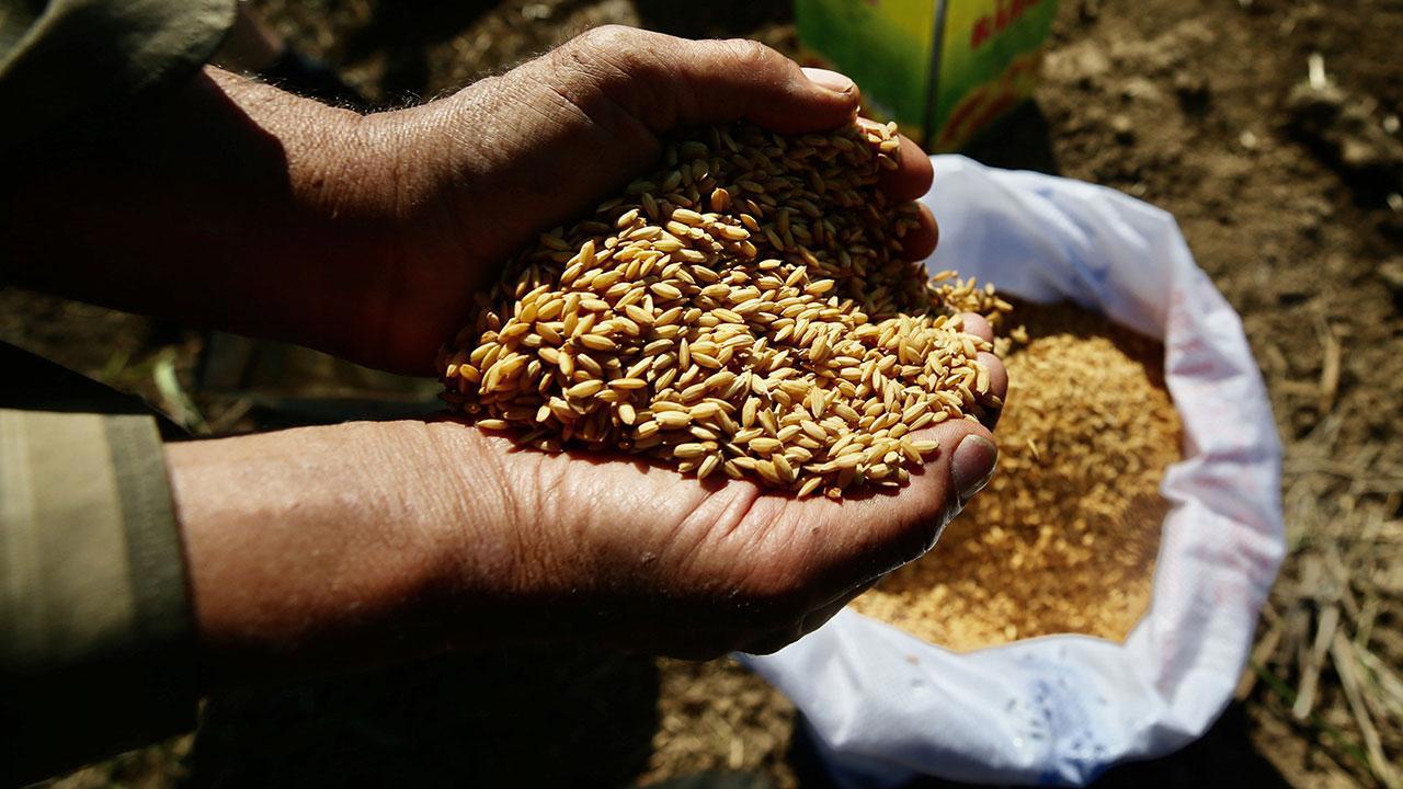 Tarım Kredi Marketlerinde Ata Tohumlarına Ulaşabilirsiniz