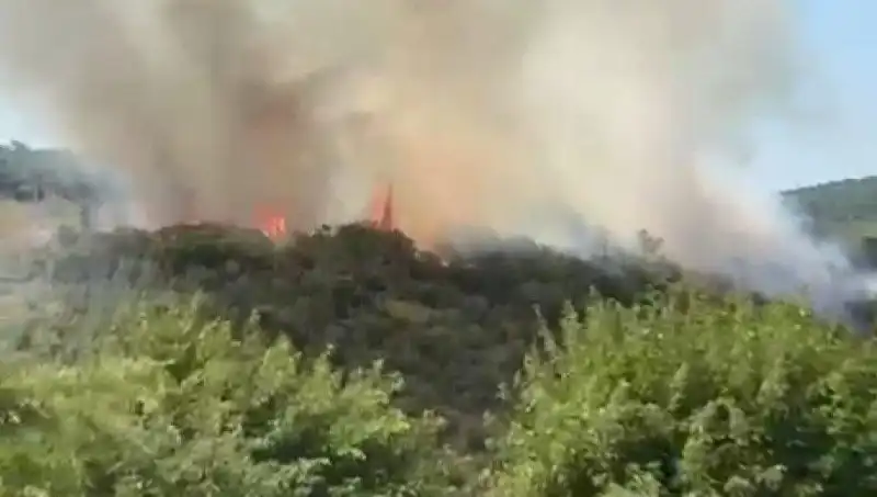 İstanbul Orman Yangını: Vatandaşlar Tahliye Edildi, Neler Yaşandı?