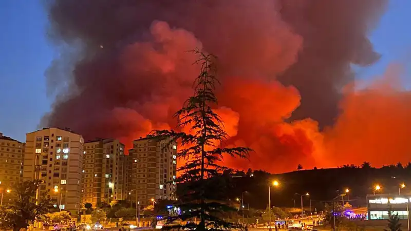 Bursa'da çıkan yangınlar, şehrin huzurunu tehdit ediyor: Son gelişmeler neler?