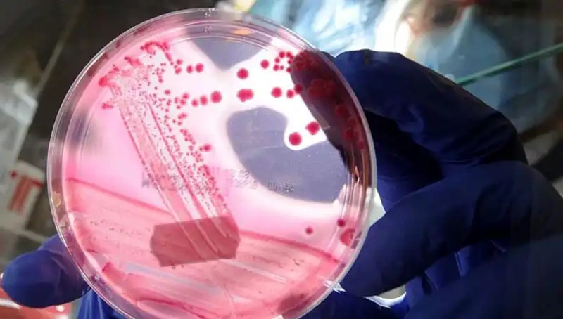İleri Düzey Yaşlanma Araştırmaları: AP2A1 Proteini ile Yeni Keşifler