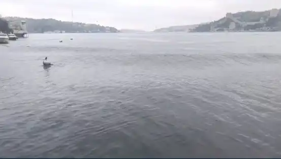 İstanbul’u Sallayan Deprem: 6,2 Büyüklüğündeki Sarsıntı ve Denizde Yükselen Dalgalar