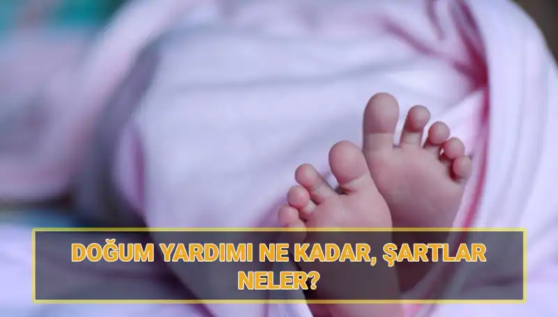 2025 Doğum Yardımı Başvuruları Başladı: Çocuk Parası Ne Kadar ve Şartlar Neler?