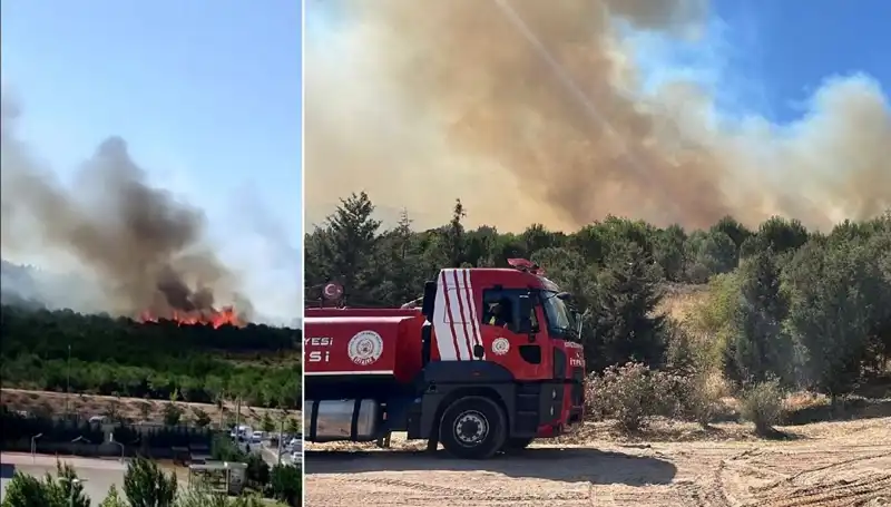 Gebze Orman Yangını: Yerleşim Yerlerini Tehdit Eden Alevler