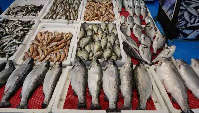 Türkiye'de Yeni Yasaklar ve Tezgahlar: Hangi Ürünler Yasağa Dahil Oldu?
