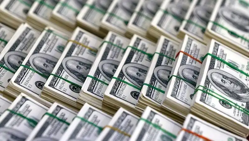 Doların Rekor Yükselişi: Ekonomistler Uyarıyor, Kriz Kapıda mı?
