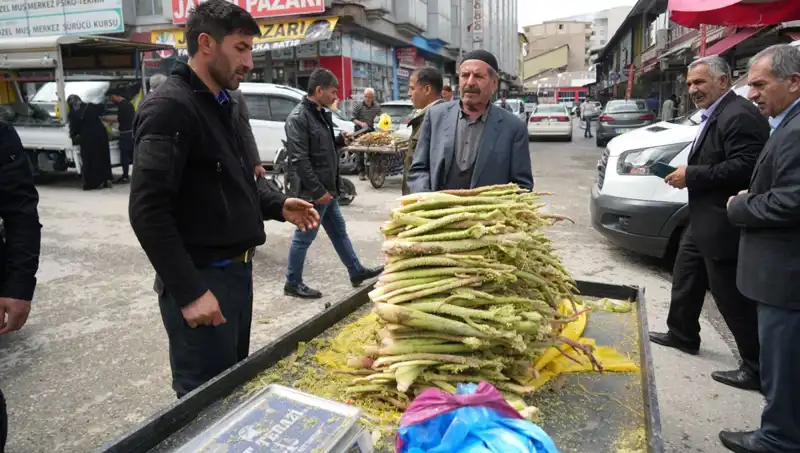 Dağlardan Gelen Şifa: Şekerin Kanser ve Mide Hastalıklarındaki Faydaları