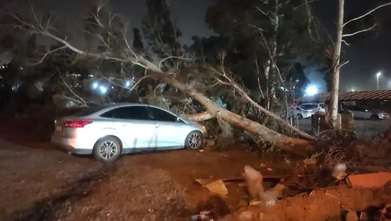 Hatay'da Şiddetli Fırtına: Birçok Tekne Alabora Oldu, Ağaçlar Devrildi!