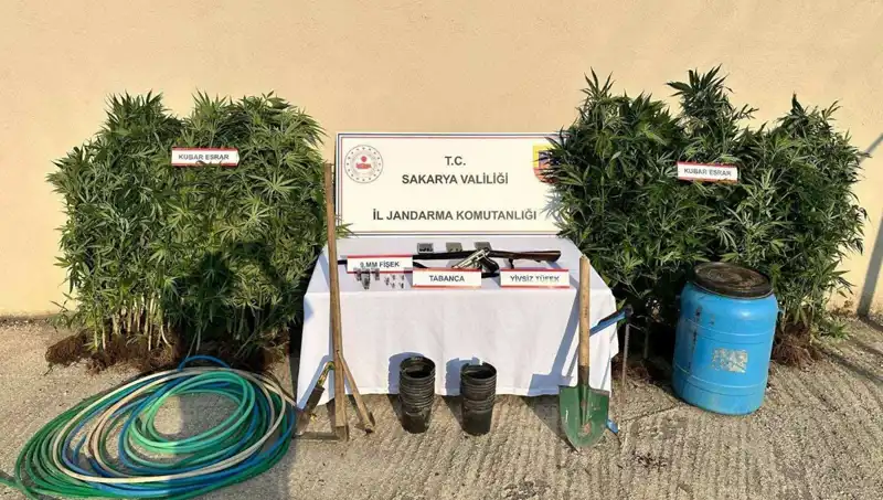 Sakarya’da Uyuşturucu Operasyonu: Güvenlik Güçlerinden Çarpıcı Bir Başarı