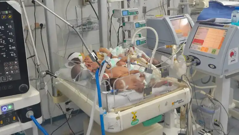 Gazzeli Doktorların Çaresizliği: Aynı Kuvözde Birden Fazla Bebek!