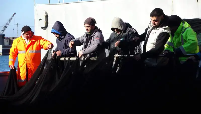 Hamsinin Peşindeki Balıkçılar: Denizlerde Hamsi Avı Son Buldu!