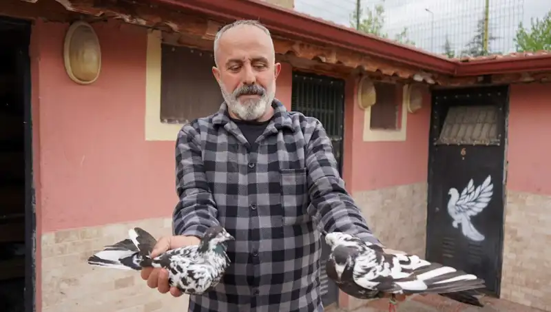 42 Yılın ardından Hobi, Profesyonel Tesise Dönüştü: İl Dışından Yoğun Talep!
