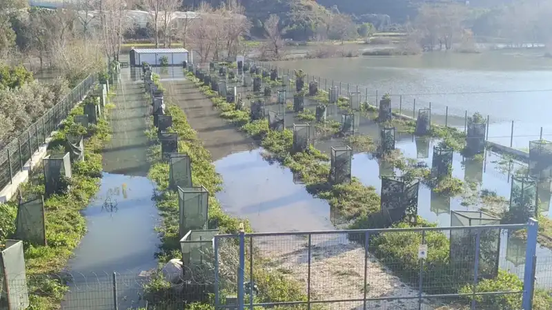 Irmak Taşınca Otoyol Şantiyesi Sular Altında Kaldı: Can ve Mal Kaybı Tehlikesi