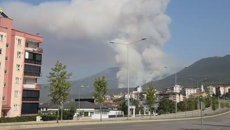 Denizli’nin Ormanlarında Yangın: Bir Şüpheli Gözaltında!