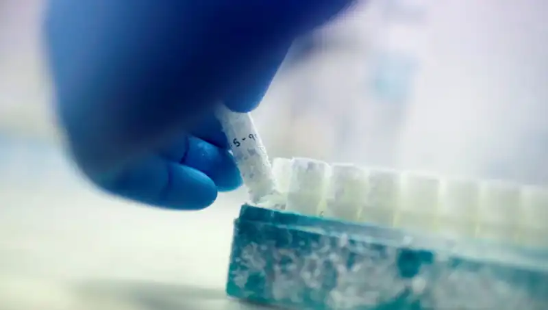 Sonunda Açığa Çıkan Skandal: 85 Sperm Donörü Binlerce Çocuğa Baba Oldu