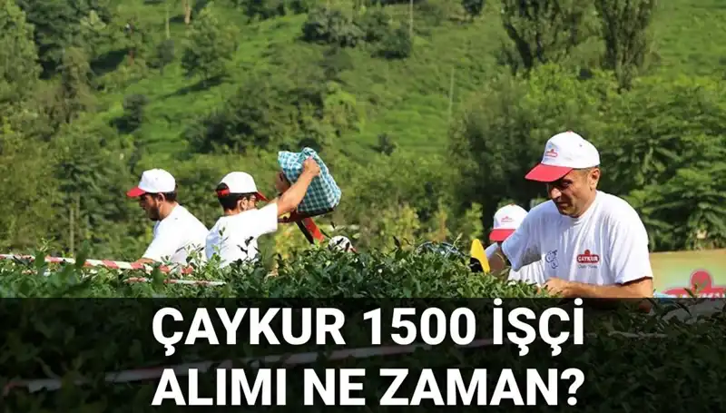 Çaykur İşçi Alımı Başvuru Tarihleri ve Süreci Hakkında Yeni Gelişmeler