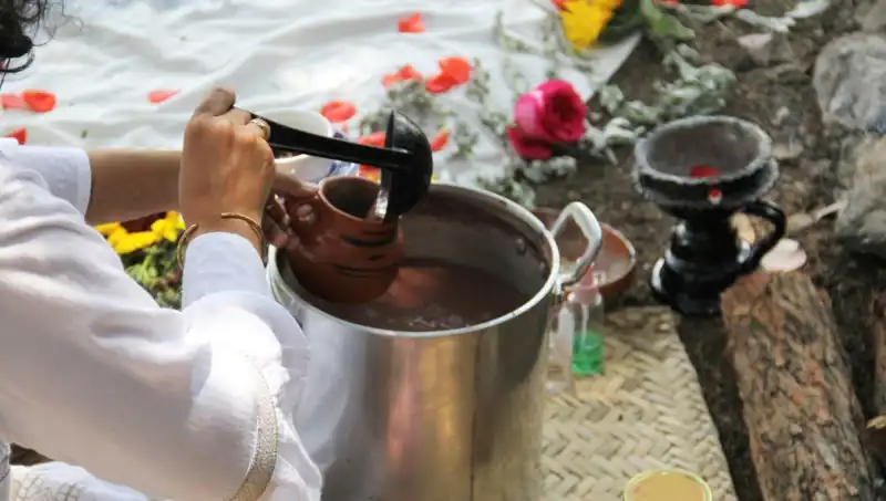 Ayahuasca: Şifalı İçki Gerçeği ve Yasal Durumu Nedir?