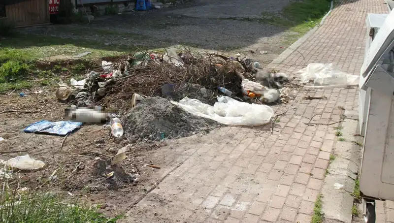 Antalya'da Kedi Katliamı Şoku: 10 Hayvan Ölü Bulundu!