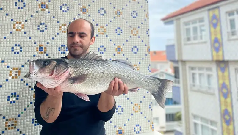 Okyanusun Derinliklerinden Çıkan Dev Levrek: 7,5 Kilogramlık Şaşırtıcı Bulgu