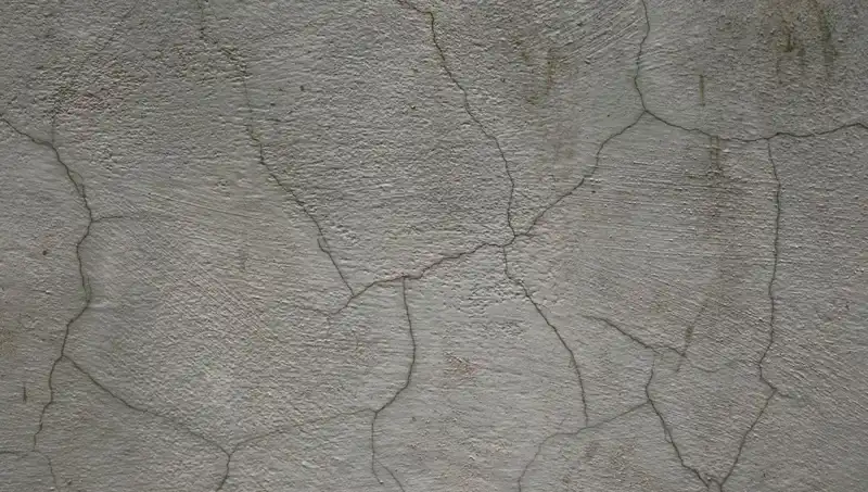 Çatlakları Kendiliğinden Onaran Canlı Beton ile Geleceğe Adım Atılıyor