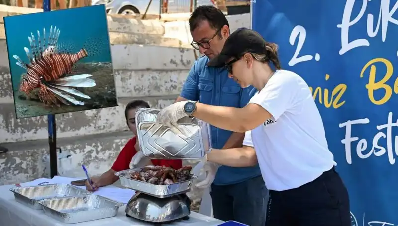 Antalya'da İstilacı Aslan Balığı Avlama Yarışması: Büyüleyici Rekabet ve Ekosistem Koruma