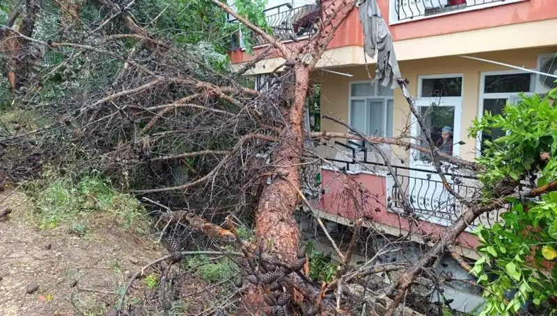 Yağmurla Yıpranan Bina Çöktü: Olay Anı ve Yıkımın Ardındaki Gerçekler