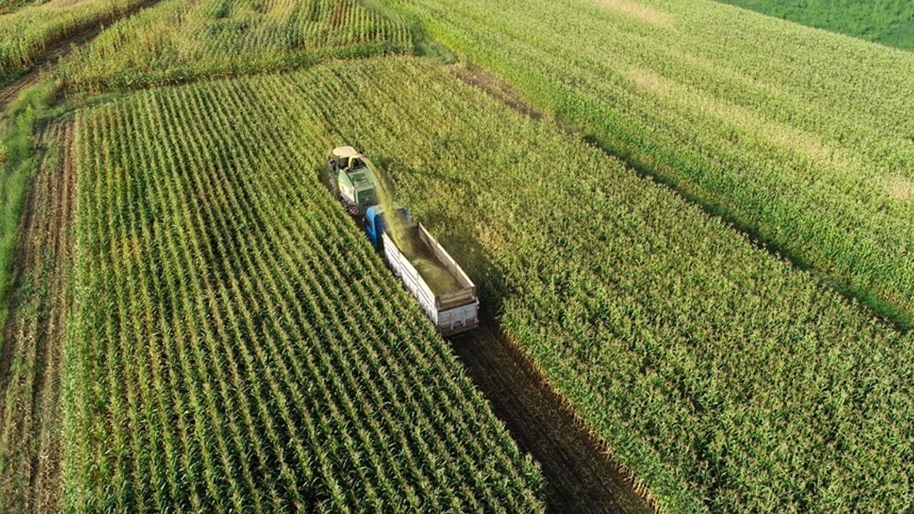 Çiftçilere 2,3 Milyar Lira Destekleme Ödemesi Yapılacak